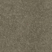 ITEM CODE – 9133 Silver Coat